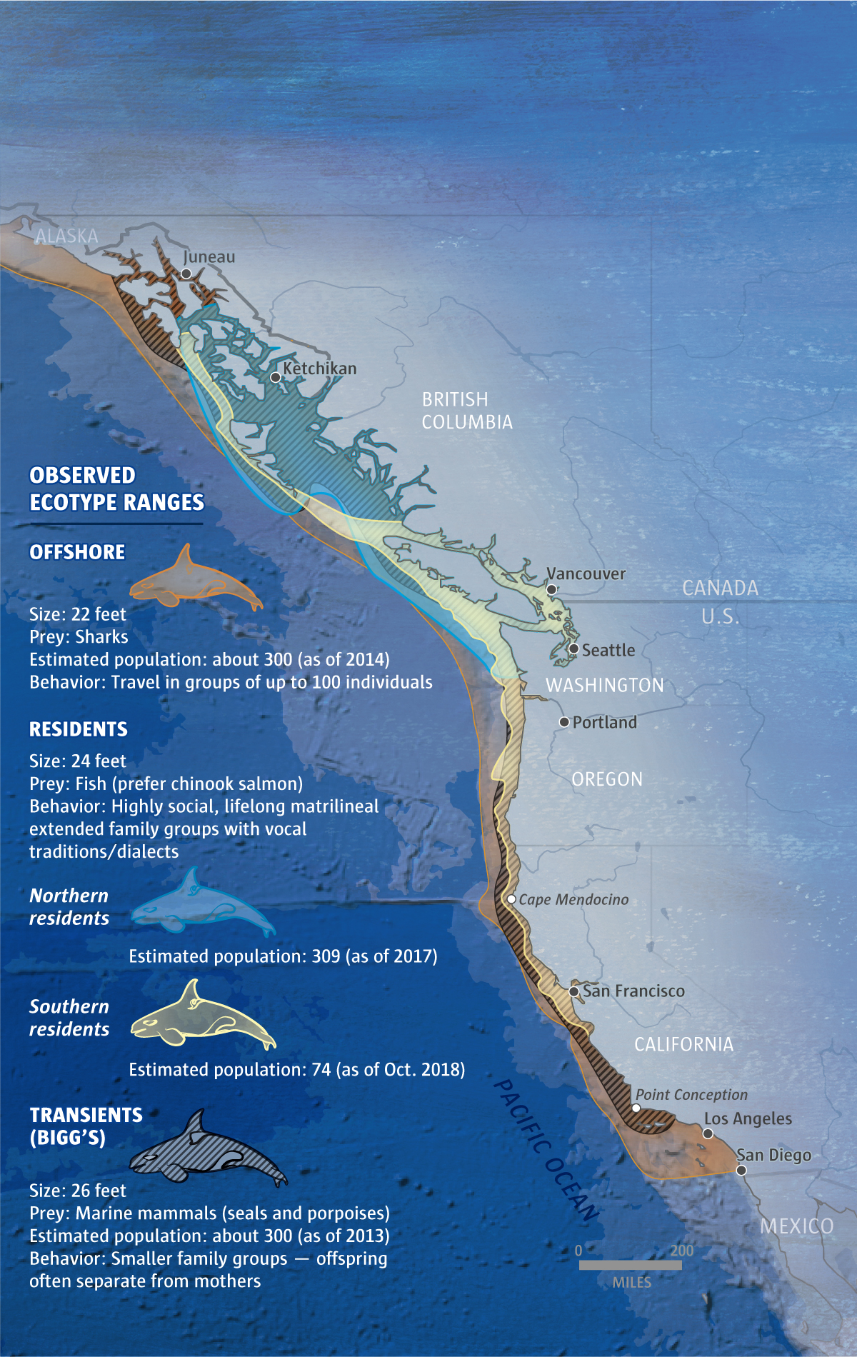 Orcas Thrive In A Land To The North Why Are Puget Sound S Dying   North South Orcas M Map 