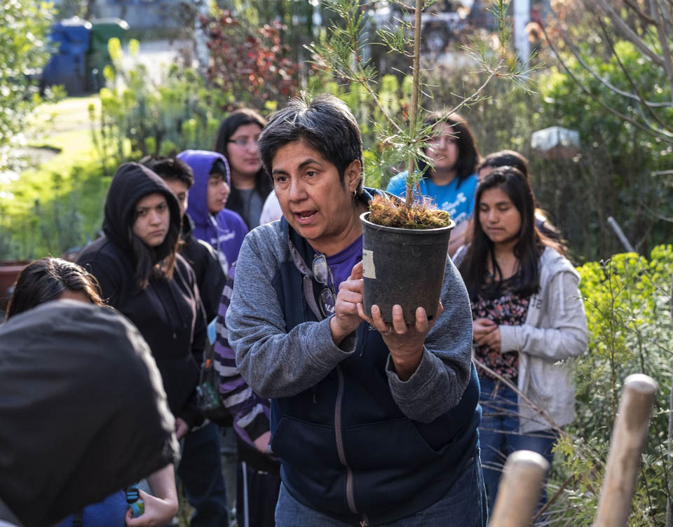 Carmen Martinez holds a sapling while teaching teenagers