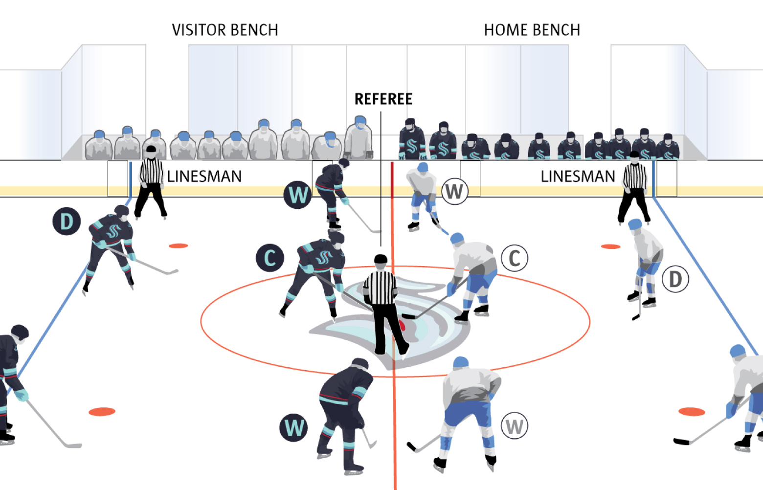 A Kraken fans visual guide to hockey and the NHL