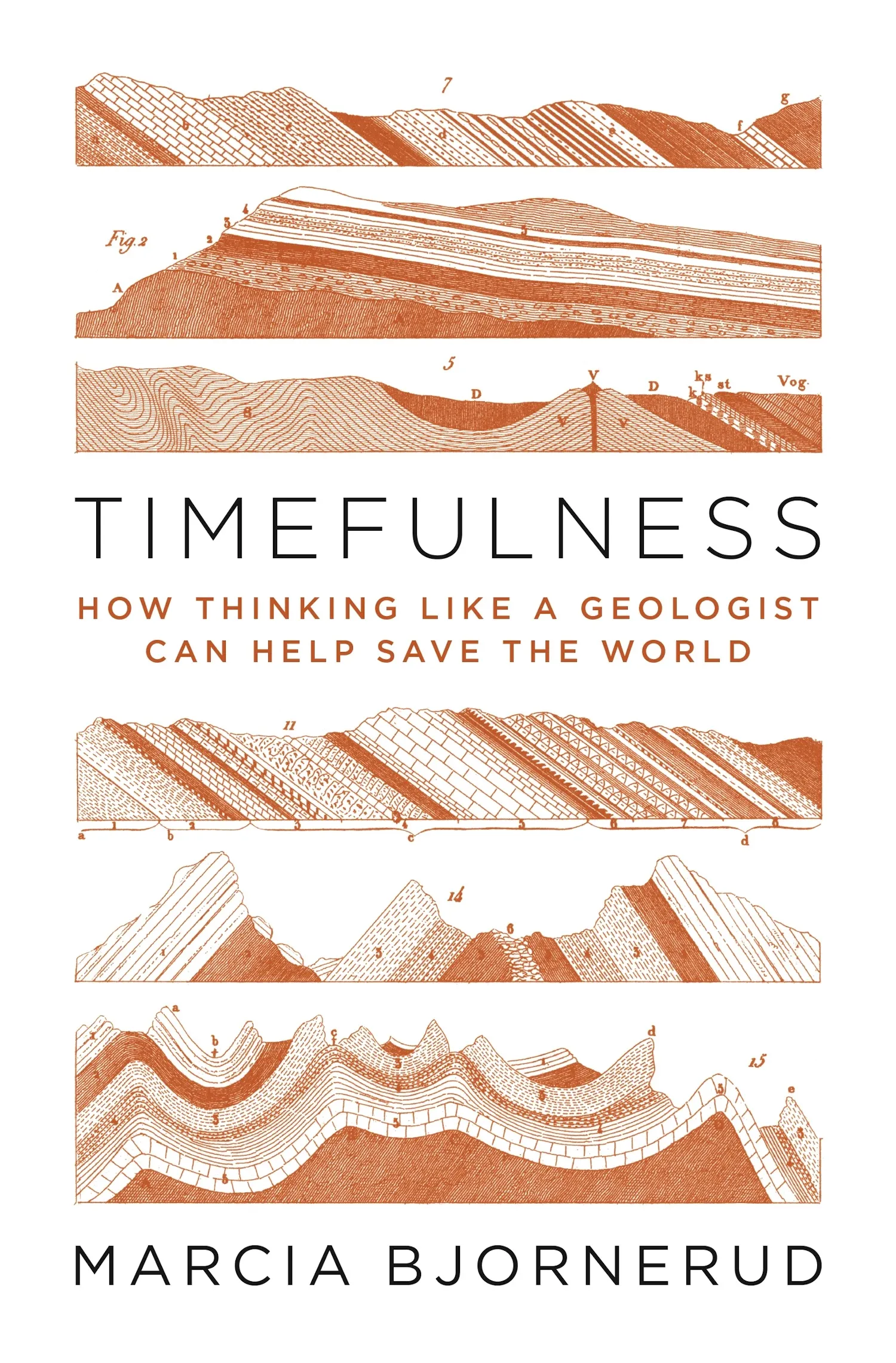 Image of Timefulness: How Thinking Like a Geologist Can Help Save the World  book cover