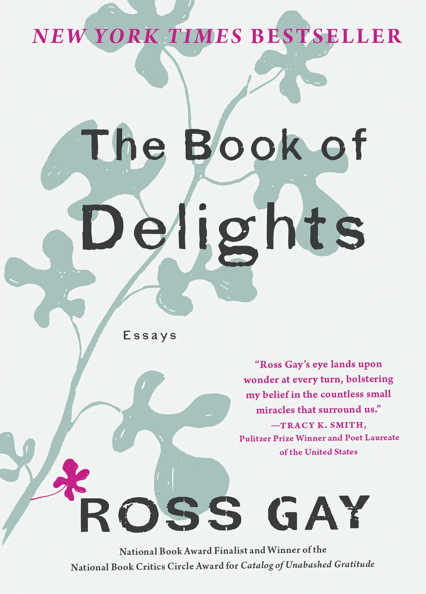Image of The Book of Delights: Essays book cover