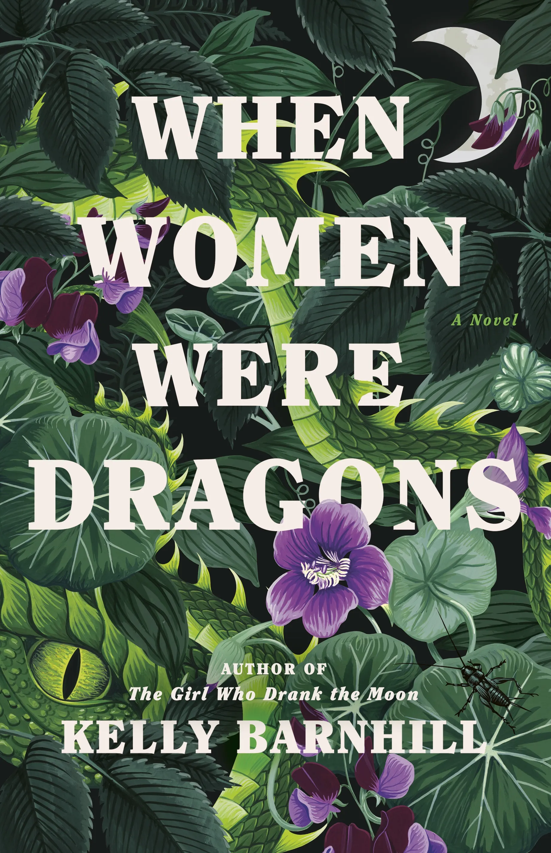 Image of When Women Were Dragons book cover