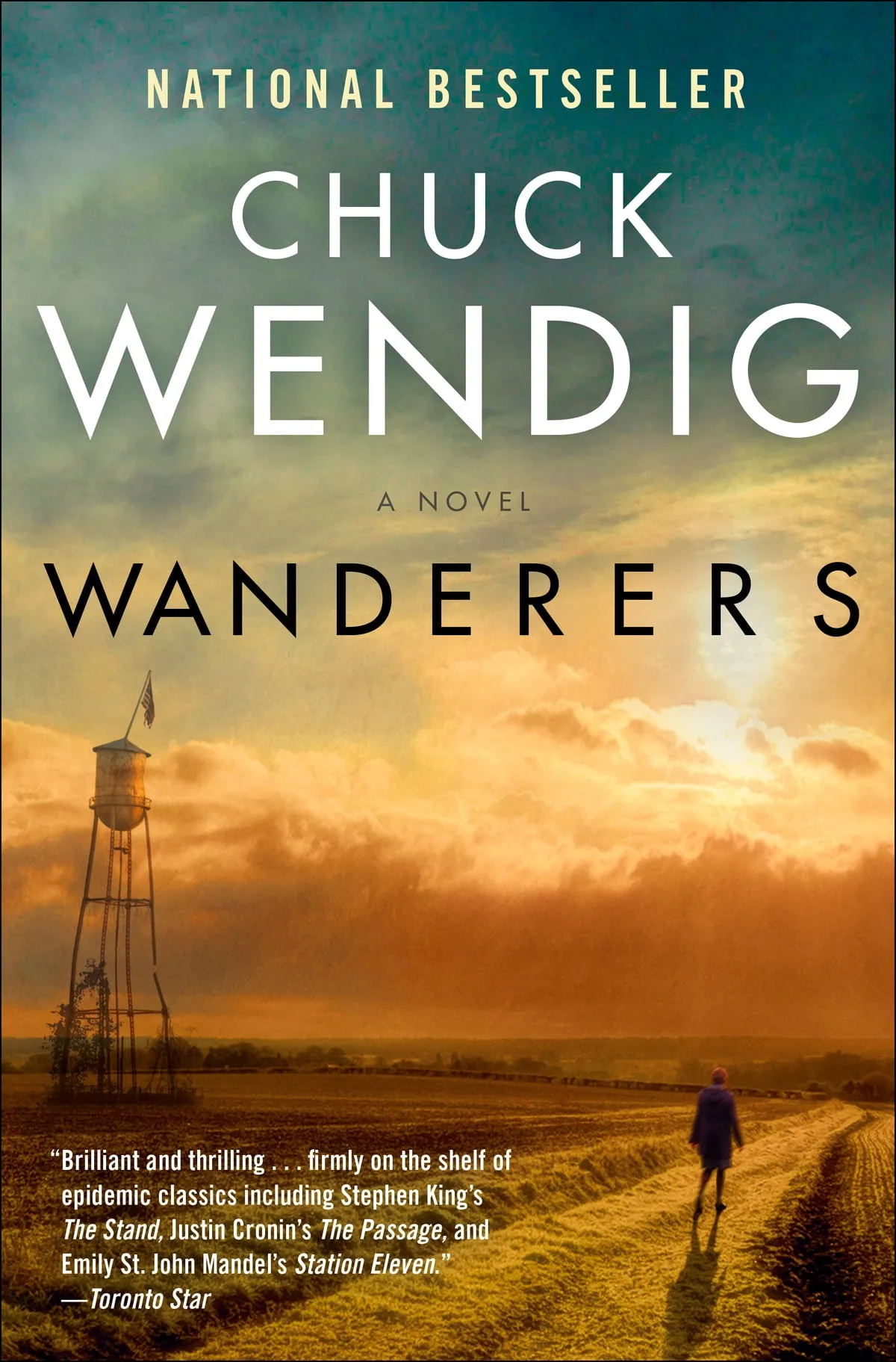 Image of Wanderers book cover