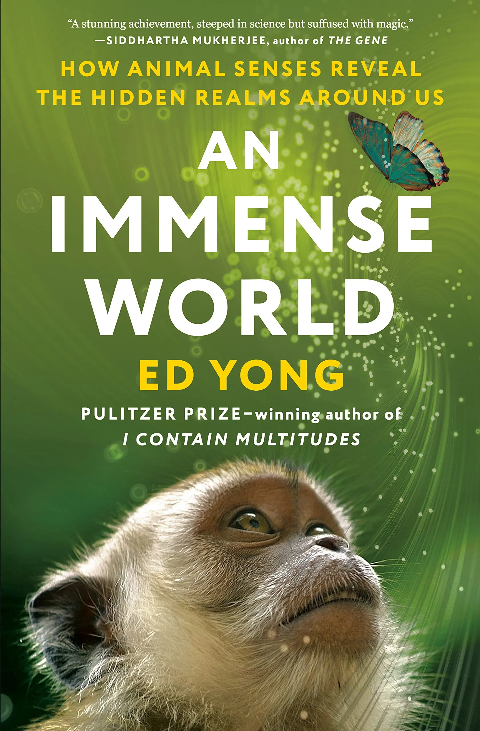 Image of An Immense World: How Animal Senses Reveal the Hidden Realms Around Us book cover