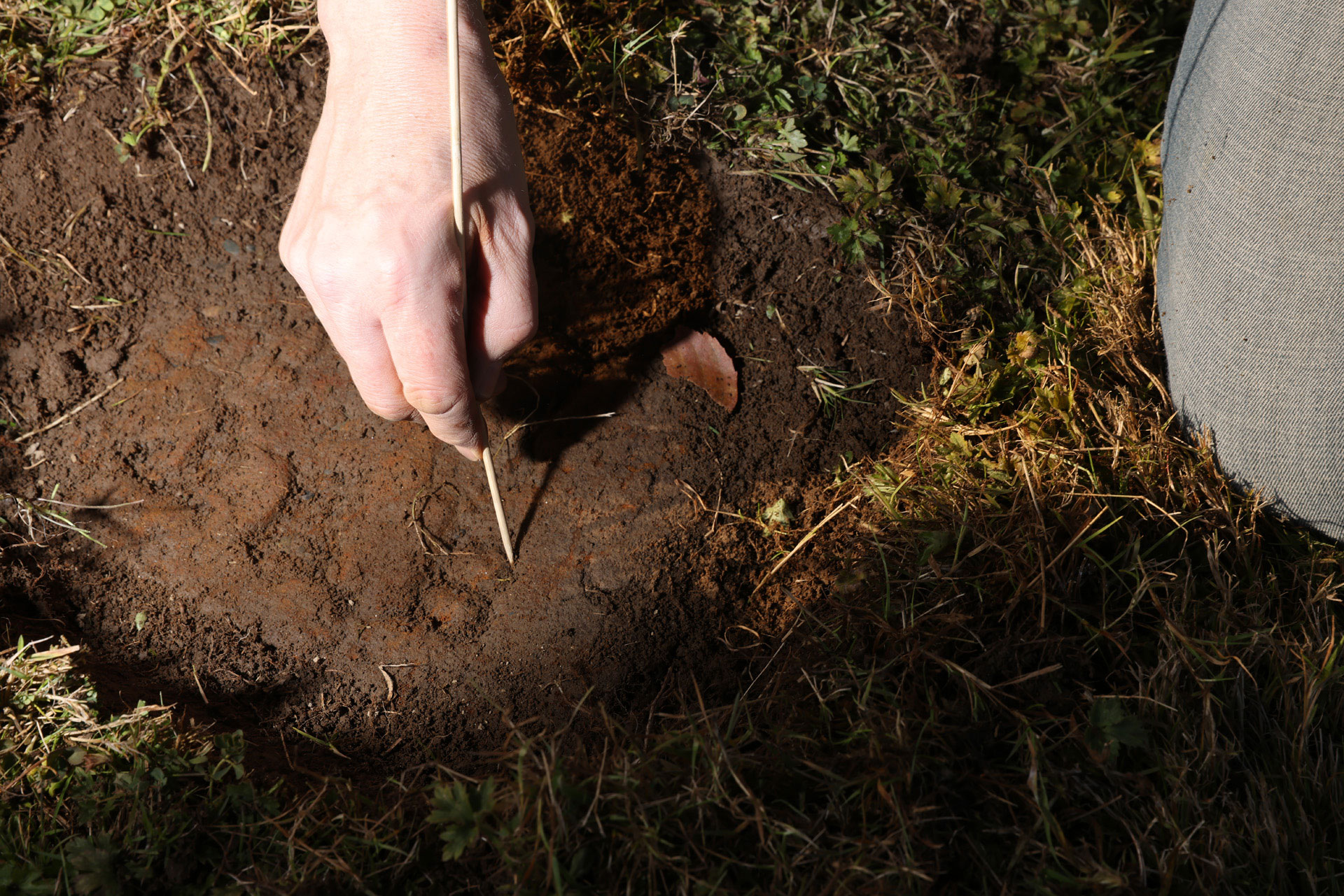 <p>Horne uses a bamboo skewer to clean a grave marker, revealing its number. Every winter, the cemetery ground sucks many markers back down beneath the mud. (Karen Ducey / The Seattle Times, 2022)</p>
