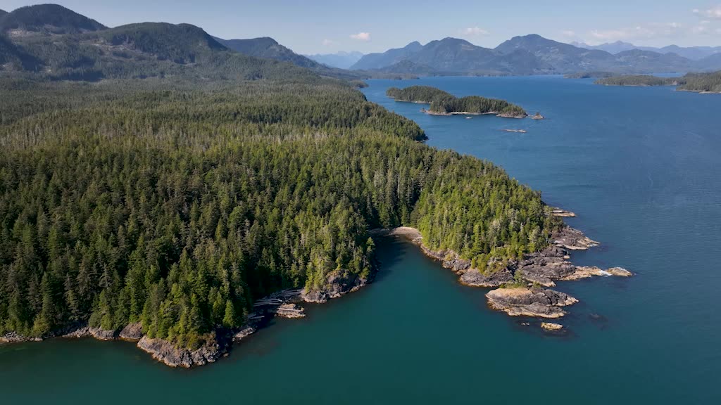 Northwest B.C. First Nations outraged by Alaskan interception of salmon -  Vancouver Island Free Daily